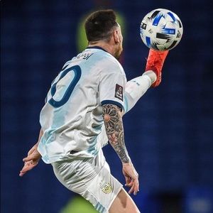 Meet your Posher, Hamse